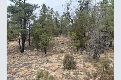 40 Timber Ridge Loop #40, Show Low, AZ 85901 - Photo 17