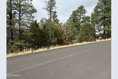 40 Timber Ridge Loop #40, Show Low, AZ 85901 - Photo 3