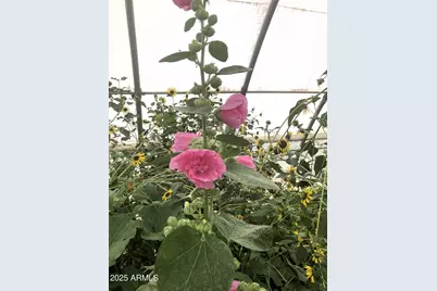 242 County Road N5427 Road, Saint Johns, AZ 85936 - Photo 59