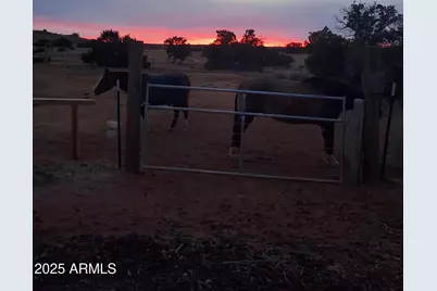 242 County Road N5427 Road, Saint Johns, AZ 85936 - Photo 45