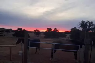 242 County Road N5427 Rd, Saint Johns, AZ 85936 - Photo 45