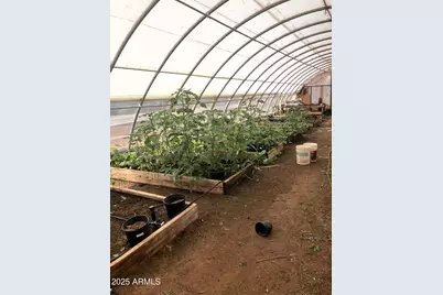 242 County Road N5427 Road, Saint Johns, AZ 85936 - Photo 57