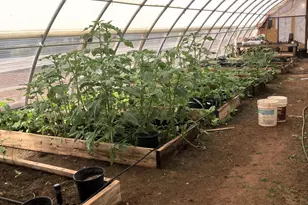 242 County Road N5427 Rd, Saint Johns, AZ 85936 - Photo 57