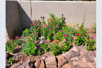 242 County Road N5427 Road, Saint Johns, AZ 85936 - Photo 43