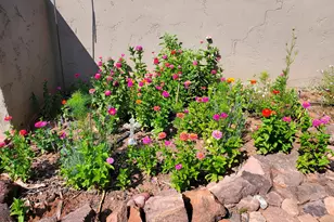 242 County Road N5427 Rd, Saint Johns, AZ 85936 - Photo 43