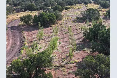 242 County Road N5427 Road, Saint Johns, AZ 85936 - Photo 47