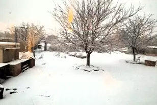 242 County Road N5427 Rd, Saint Johns, AZ 85936 - Photo 39