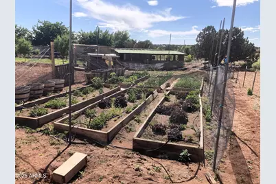 242 County Road N5427 Road, Saint Johns, AZ 85936 - Photo 55