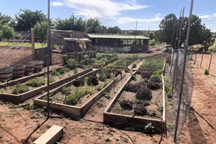 242 County Road N5427 Rd, Saint Johns, AZ 85936 - Photo 55