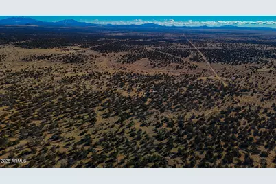 5823 N Cattle Guard Rd 21.41 Acres -- #-, Williams, AZ 86046 - Photo 35