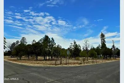 2120 Aztec Circle #171, Happy Jack, AZ 86024 - Photo 1