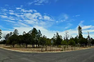 2120 Aztec Cir, Happy Jack, AZ 86024 - Photo 1