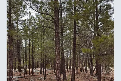 2120 Aztec Circle #171, Happy Jack, AZ 86024 - Photo 5