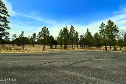 5823 Cripple Creek #259, Happy Jack, AZ 86024 - Photo 3