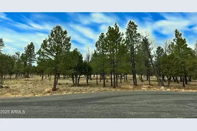 5823 Cripple Creek #259, Happy Jack, AZ 86024 - Photo 1