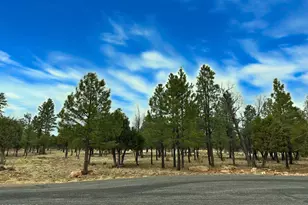 5823 Cripple Creek, Happy Jack, AZ 86024 - Photo 1