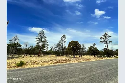 4109 Durango Drive #295, Happy Jack, AZ 86024 - Photo 3