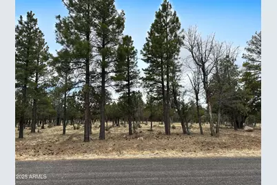 3431 Durango Drive #205, Happy Jack, AZ 86024 - Photo 1