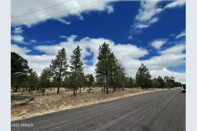 3431 Durango Drive #205, Happy Jack, AZ 86024 - Photo 3