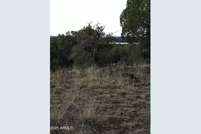 1827 Daggs Place #29, Show Low, AZ 85901 - Photo 15