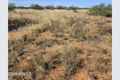 Tbd 7.27 Ac's Three Canyons Road #G, Hereford, AZ 85615 - Photo 9