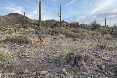 009 N Elephant Butte Road #H, Queen Valley, AZ 85118 - Photo 1