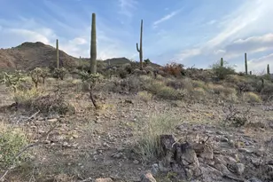 009 N Elephant Butte Rd, Queen Valley, AZ 85118 - Photo 1