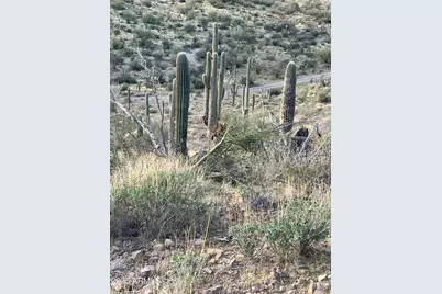 009 N Elephant Butte Road #J, Queen Valley, AZ 85118 - Photo 3