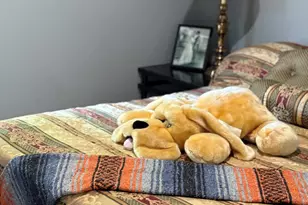 4813 W Krall St, Glendale, AZ 85301 - Photo 29