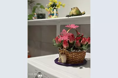 4813 W Krall Street, Glendale, AZ 85301 - Photo 41