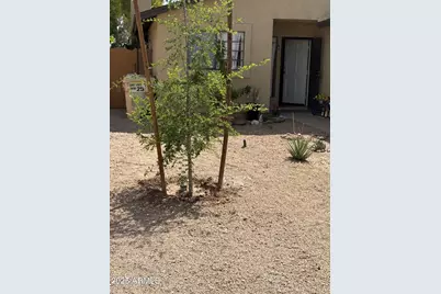 4813 W Krall Street, Glendale, AZ 85301 - Photo 5