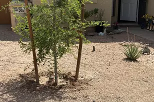 4813 W Krall St, Glendale, AZ 85301 - Photo 5