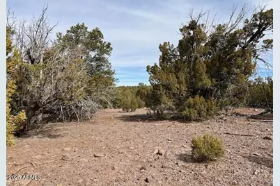 45 County Road 8145 -- #107, Concho, AZ 85924 - Photo 1