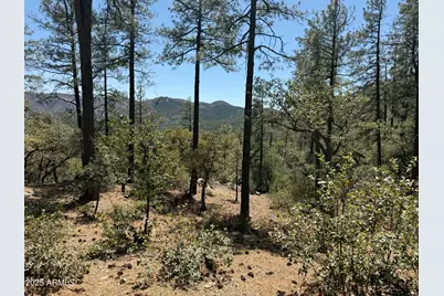 23106 S Towers Mountain Road, Crown King, AZ 86343 - Photo 67