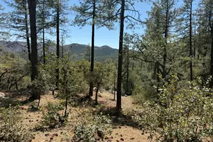 23106 S Towers Mountain Rd, Crown King, AZ 86343 - Photo 67