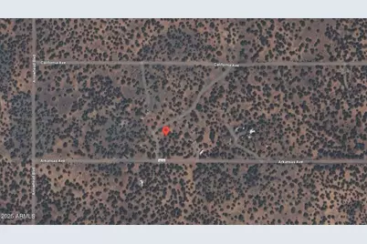 17 County Road 8056 -- #377, Concho, AZ 85924 - Photo 1