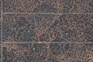 17 County Road 8056 --, Concho, AZ 85924 - Photo 1