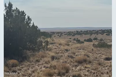 33 County Road N6211 -- #71, Saint Johns, AZ 85936 - Photo 5