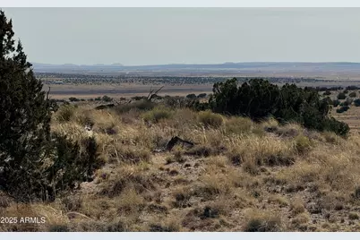 33 County Road N6211 -- #71, Saint Johns, AZ 85936 - Photo 7