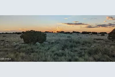 202 County Road N6451 -- #316, Saint Johns, AZ 85936 - Photo 1