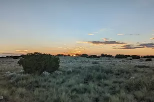 202 County Road N6451 --, Saint Johns, AZ 85936 - Photo 1