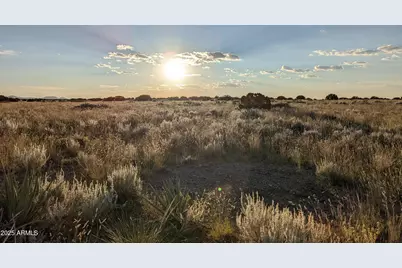 202 County Road N6451 -- #316, Saint Johns, AZ 85936 - Photo 3