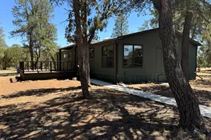 3050 Chevelon Rd, Overgaard, AZ 85933 - Photo 29