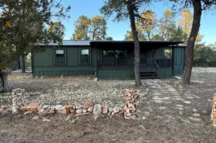 3050 Chevelon Rd, Overgaard, AZ 85933 - Photo 47