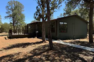 3050 Chevelon Rd, Overgaard, AZ 85933 - Photo 37