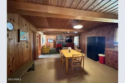 1335 Park Drive, Mormon Lake, AZ 86038 - Photo 3