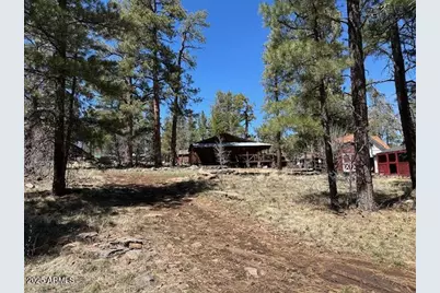 1335 Park Drive, Mormon Lake, AZ 86038 - Photo 17