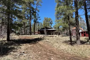 1335 Park Dr, Mormon Lake, AZ 86038 - Photo 17