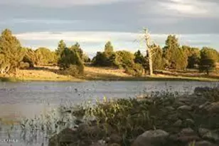 1335 Park Dr, Mormon Lake, AZ 86038 - Photo 25