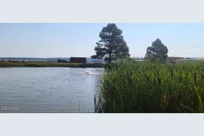 1335 Park Drive, Mormon Lake, AZ 86038 - Photo 31